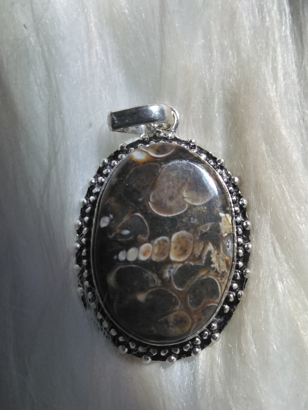 Turrtilla Fossil Silver Plated Gemstone Necklace Pendant